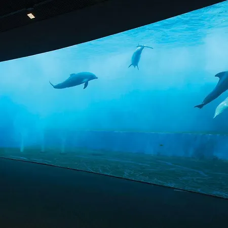 Elegante Monolocale Appartement